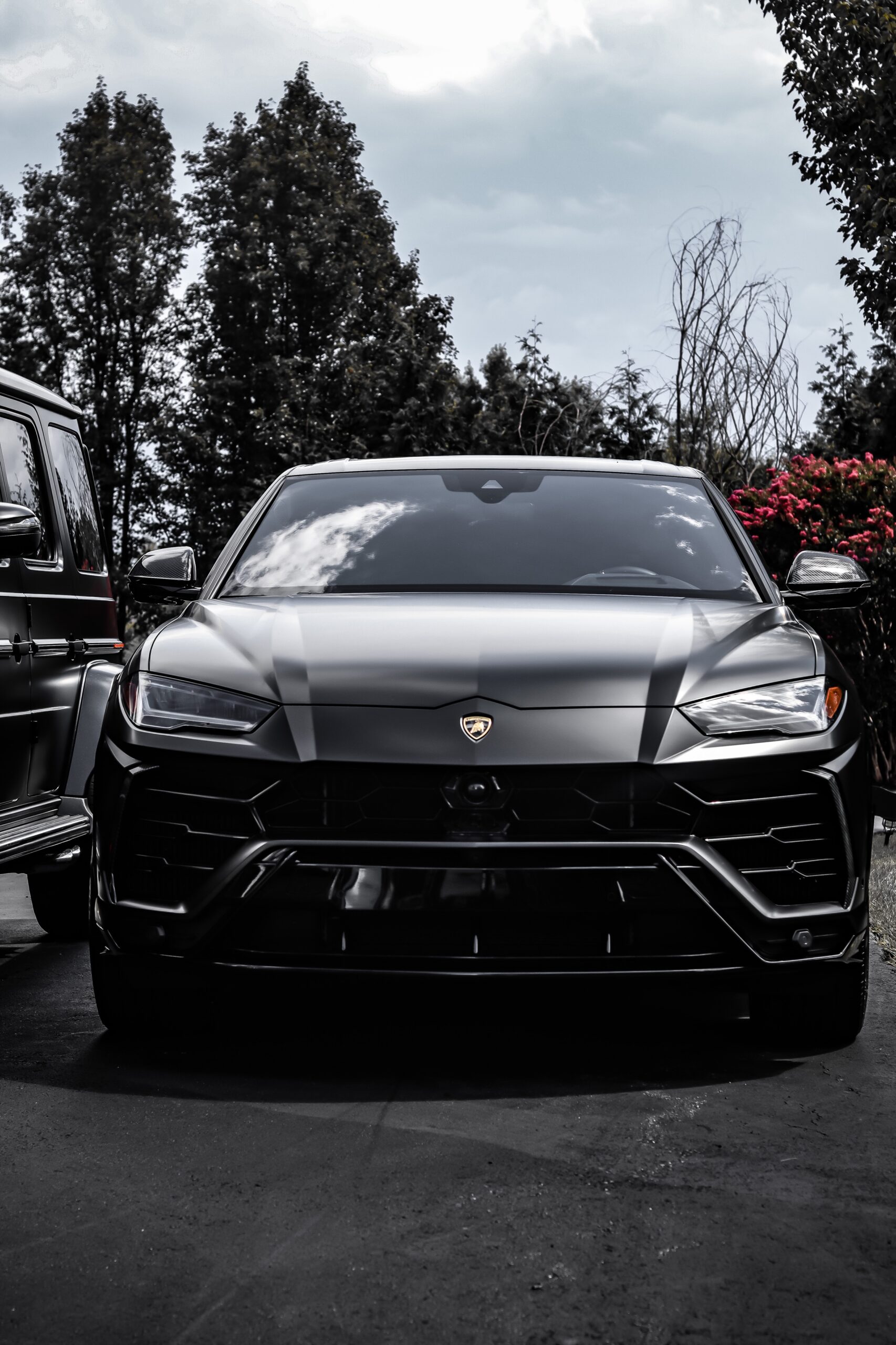 Daily Rental